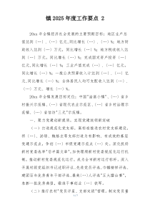 镇2025年度工作要点 2
