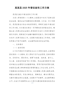 某某县2025年普法宣传工作方案