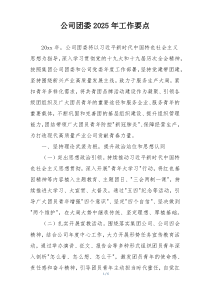 公司团委2025年工作要点