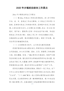 2025年乡镇政法综治工作要点