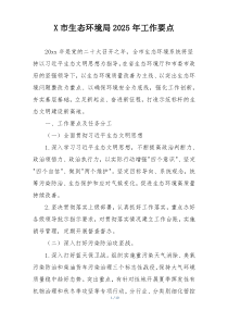 X市生态环境局2025年工作要点
