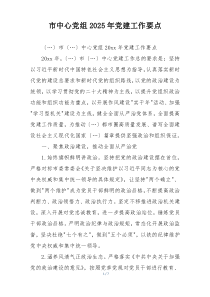市中心党组2025年党建工作要点