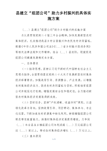 县建立“组团公司”助力乡村振兴的具体实施方案