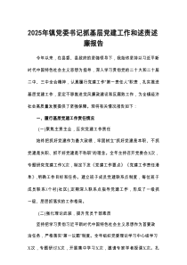 2025年镇党委书记抓基层党建工作和述责述廉报告