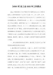 [4500字]总工会2025年工作要点