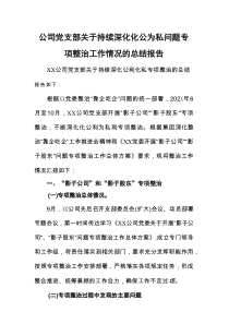 公司党支部关于持续深化化公为私问题专项整治工作情况的总结报告