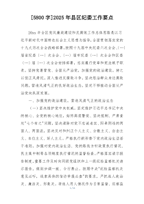 [5800字]2025年县区纪委工作要点
