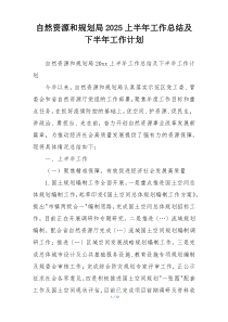 自然资源和规划局2025上半年工作总结及下半年工作计划