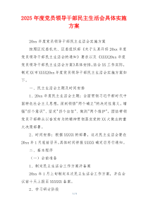 2025年度党员领导干部民主生活会具体实施方案