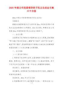 2025年度公司党委领导班子民主生活会方案六个方面