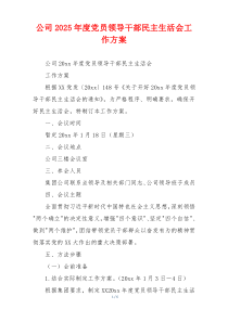公司2025年度党员领导干部民主生活会工作方案