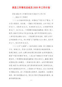某县工作情况总结及2025年工作计划