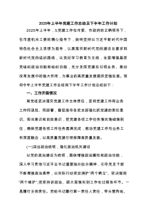 2025年上半年党建工作总结及下半年工作计划最新6篇