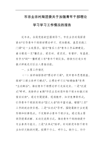 市农业农村局团委关于加强青年干部理论学习学习工作情况的报告