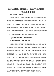 2025年某某市委党建办上半年工作总结及下半年工作计划
