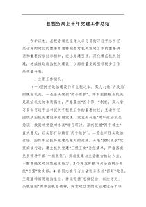 县税务局上半年党建工作总结