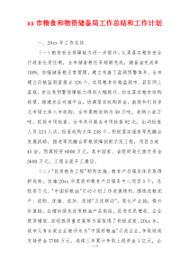 临沂市粮食和物资储备局工作总结和工作计划