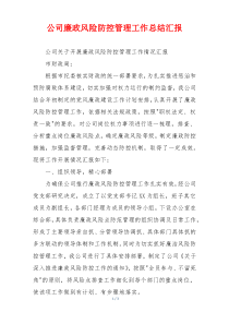 公司廉政风险防控管理工作总结汇报