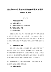 党支部2025年度组织生活会和开展民主评议党员实施方案4篇范文