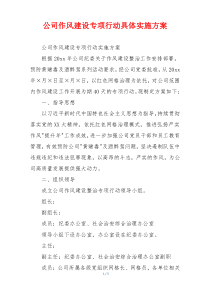 公司作风建设专项行动具体实施方案