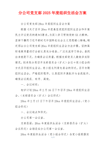 分公司党支部2025年度组织生活会方案