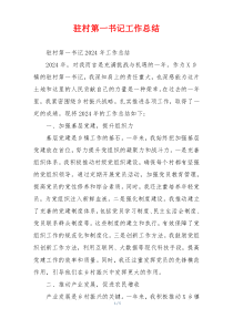 驻村第一书记工作总结
