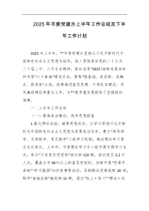 2025年市委党建办上半年工作总结及下半年工作计划