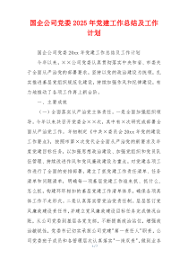国企公司党委2025年党建工作总结及工作计划