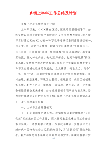 乡镇上半年工作总结及计划