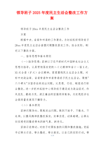 领导班子2025年度民主生活会整改工作方案