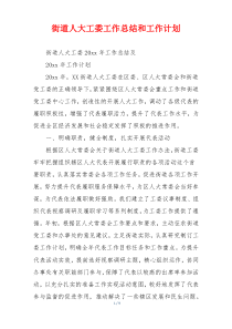 街道人大工委工作总结和工作计划