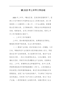 镇2025年上半年工作总结