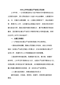 上半年全面从严治党工作总结 5篇