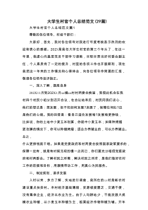大学生村官个人总结范文（29篇）