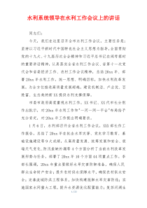 水利系统领导在水利工作会议上的讲话