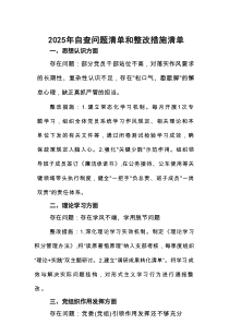 2025年自查问题清单和整改措施清单