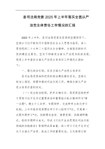 县司法局党委2025年上半年落实全面从严治党主体责任工作情况的汇报