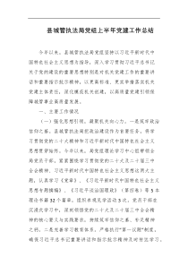 县城管执法局党组上半年党建工作总结