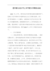 团市委2025年上半年度工作情况总结