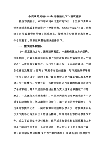 市民政局党组2025年巡察整改工作情况报告（9篇）