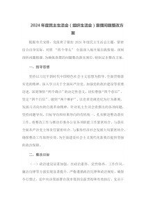 2024年度民主生活会组织生活会查摆问题整改方案
