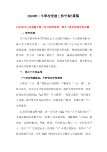 2025年中小学校党建工作计划3篇参考