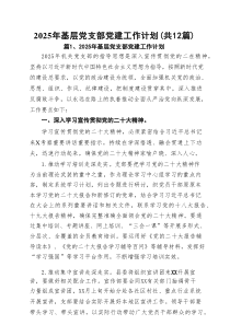 2025年基层党支部党建工作计划(精选12篇)