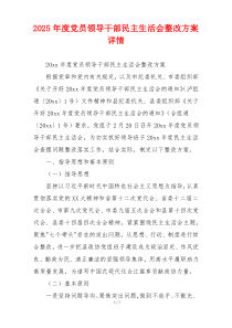 2025年度党员领导干部民主生活会整改方案详情