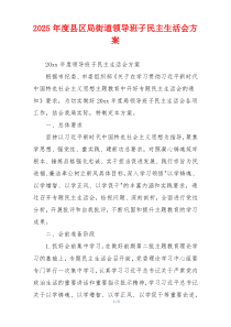 2025年度县区局街道领导班子民主生活会方案