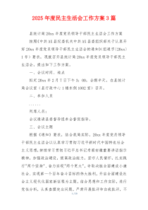 2025年度民主生活会工作方案3篇