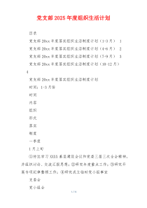 党支部2025年度组织生活计划