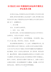 XX党总支2025年度组织生活会和开展民主评议党员方案