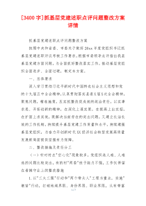 [3400字]抓基层党建述职点评问题整改方案详情