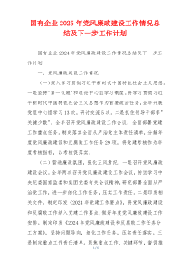 国有企业2025年党风廉政建设工作情况总结及下一步工作计划